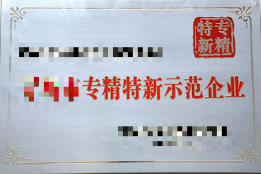 苏州市中小微企业“专精特新”示范企业项目