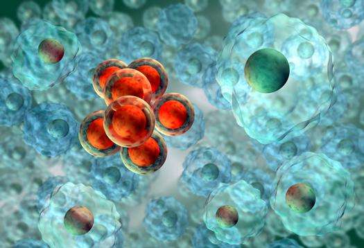 “干细胞及转化研究”试点专项2018年度项目咨询指南