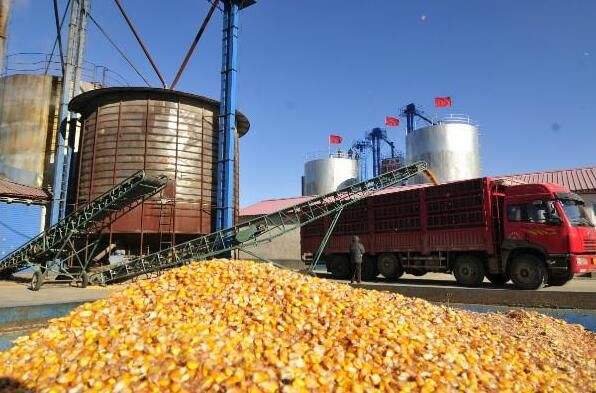 “现代食品加工及粮食收储运技术与装备”重点专项2018年度项目咨询指南