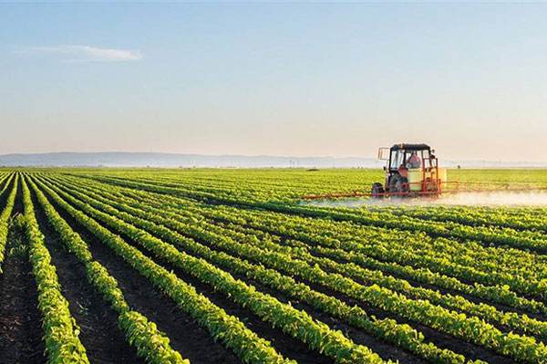 “农业面源和重金属污染农田综合防治与修复技术研发”重点专项2018年度项目咨询指南