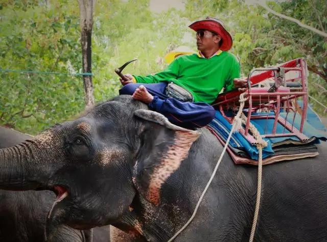 苏州科技项目咨询公司，科技项目，创新创业扶持政策，http://www.key-way.com/，智为铭略，科技项目咨询，科技项目咨询公司，苏州智为铭略企业管理有限公司