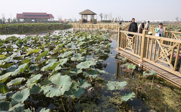 高新企业申报，相城区高新企业申报