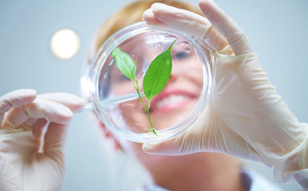 高新技术企业认证