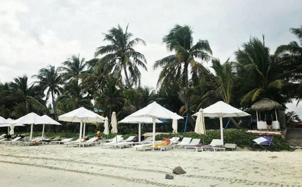 智为铭略暖冬之旅