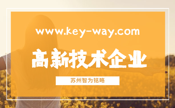 苏州高新技术企业