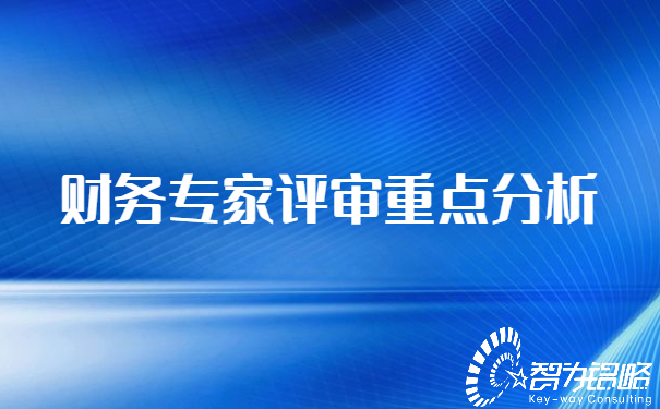 财务专家评审重点分析.jpg