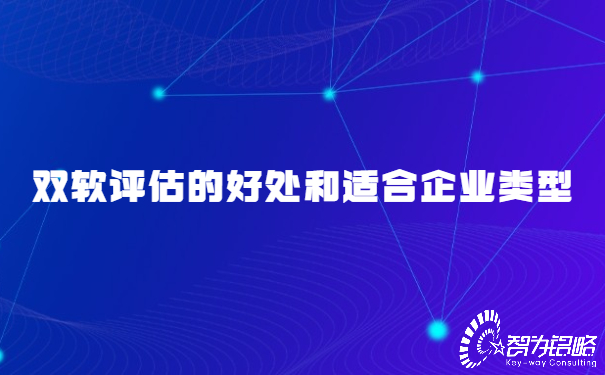 双软评估的好处和适合企业类型