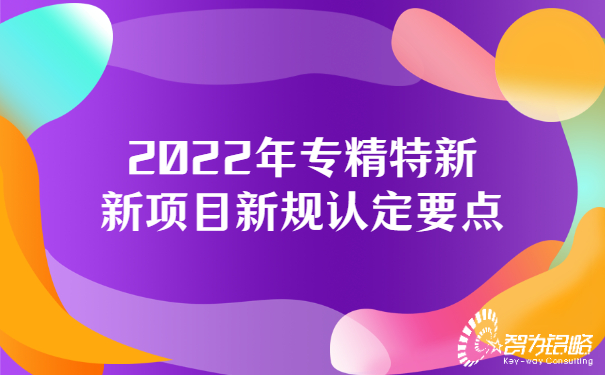 2022年专精特新新项目新规认定要点