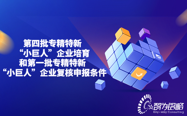 *四批专精特新“小巨人”企业培育和*一批专精特新“小巨人”企业复核申报条件.jpg