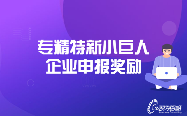 专精特新小巨人企业申报奖励