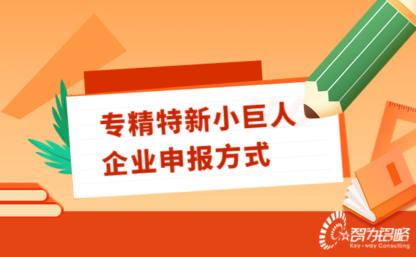 专精特新小巨人企业申报方式