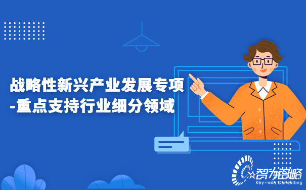 1678843306194088.jpg 战略性新兴产业发展专项-重点支持行业细分领域.jpg