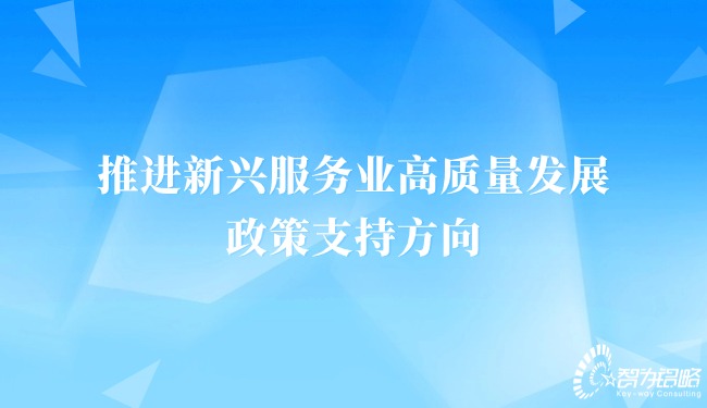 推进新兴服务业高质量发展的政策支持方向.jpg