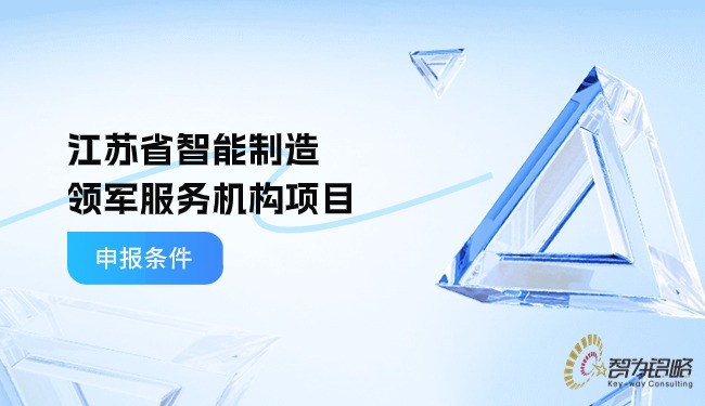 江苏省智能制造领军服务机构项目咨询条件.jpg