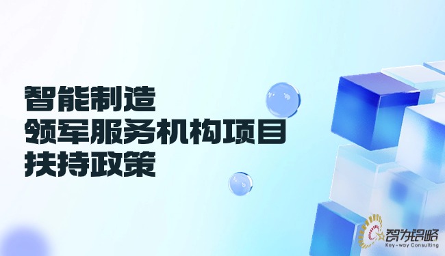 1717377684103917.jpg 智能制造领军服务机构项目扶持政策.jpg