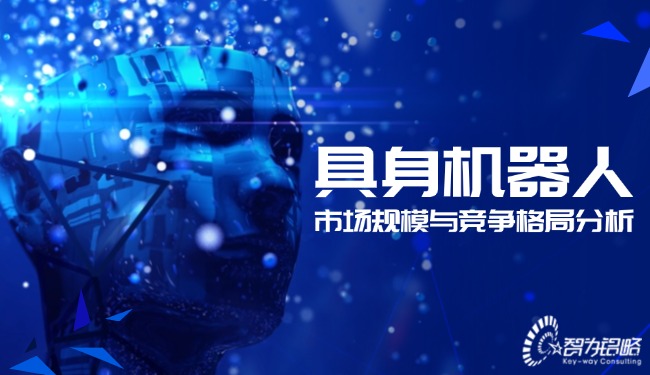 具身机器人的市场规模与竞争格局分析