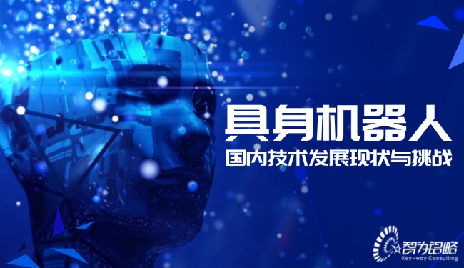 具身机器人国内技术发展现状与挑战