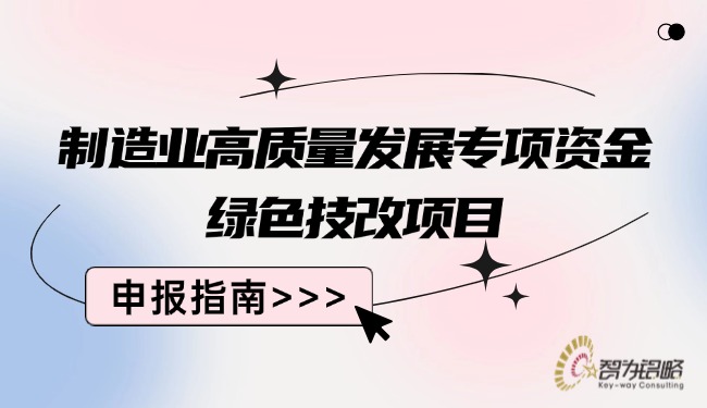 制造业高质量发展专项资金**技改项目咨询指南.jpg