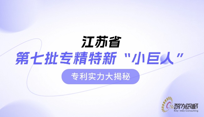 江苏省*七批专精特新“小巨人”专利实力大揭秘.jpg